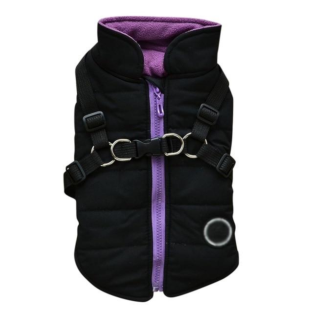 Dog zipper jacket