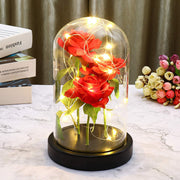 LED Night Light Immortal Flower Rose Decoration